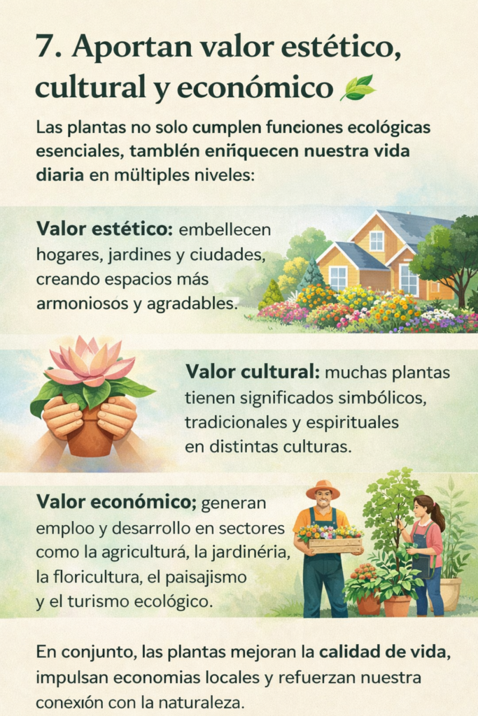 Importancia de las plantas